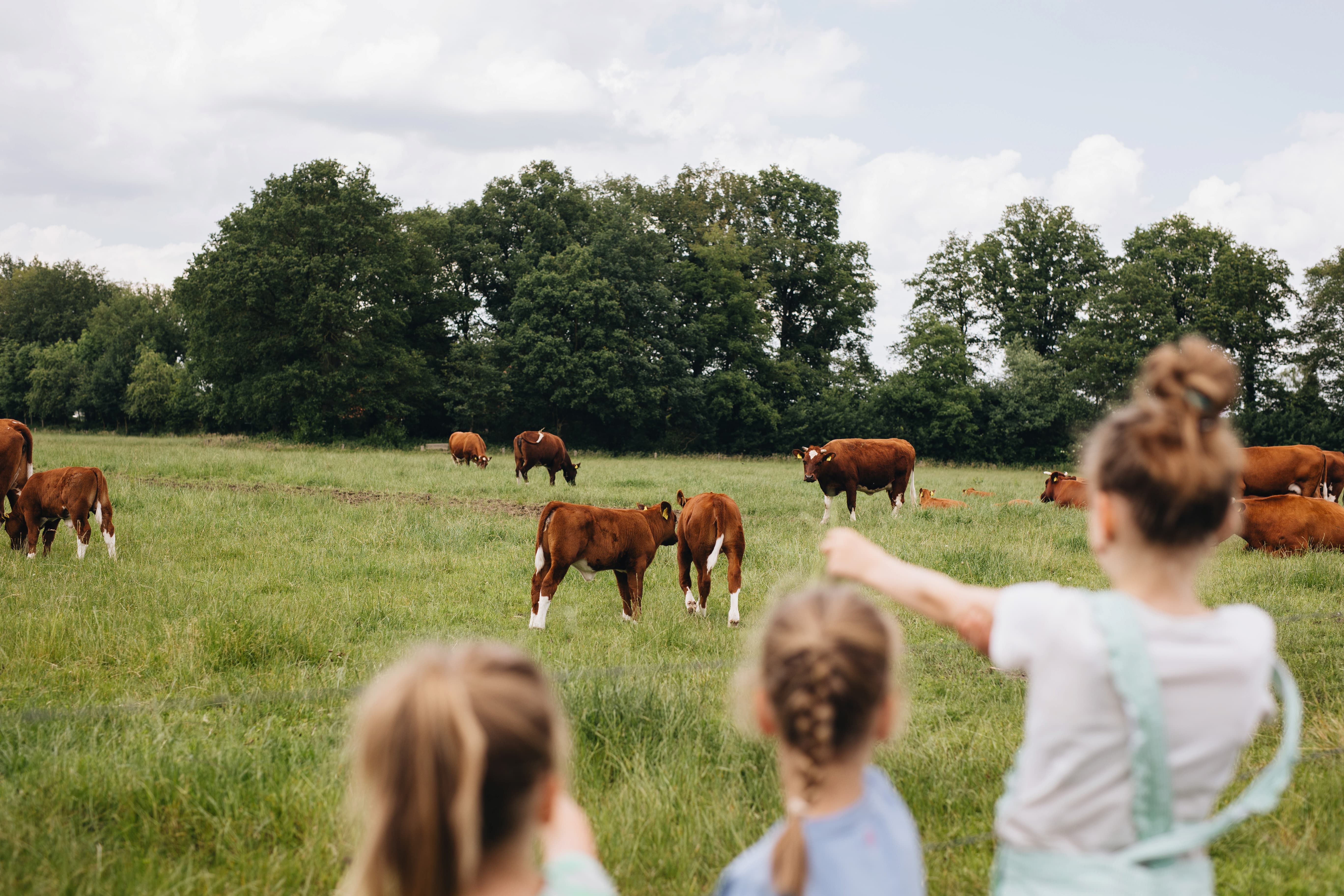 Slide 2: beeld van kinderen en koeien in Twente, Erfgoed Bossem